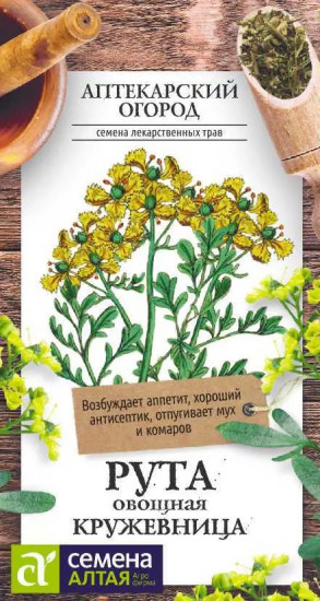Рута «Кружевница»
