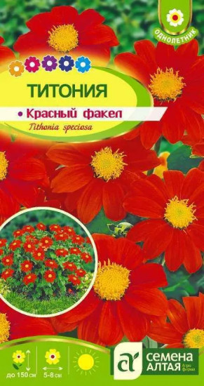 Титония «Красный факел»