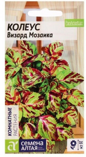 Колеус Визард «Мозаика»
