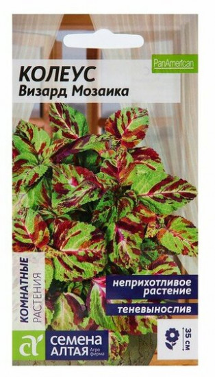 Колеус Визард «Мозаика»