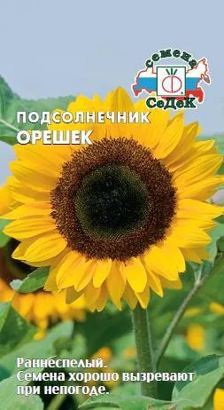 Подсолнечник «Орешек»