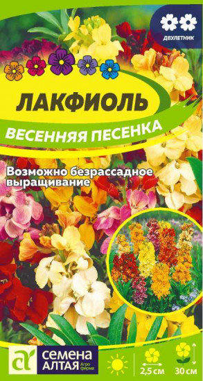 Лакфиоль «Весенняя песенка»