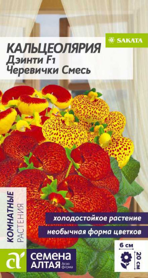 Кальцеолярия «Дэинти»