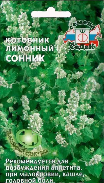 Котовник лимонный «Сонник» | СеДеК