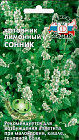 Котовник лимонный «Сонник»
