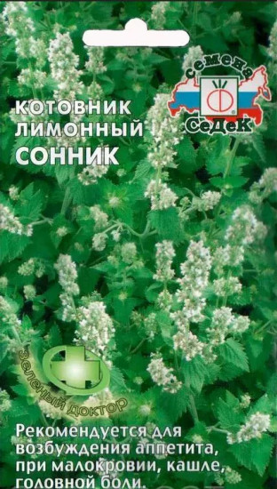 Котовник лимонный «Сонник»