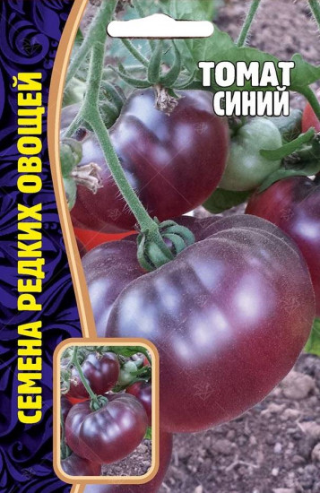 Томат «Синий»