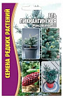 Семена редких растений «Ель ликиангинская»