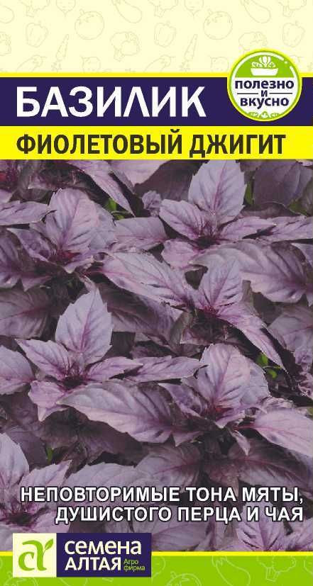 Базилик «Фиолетовый джигит» | Семена Алтая