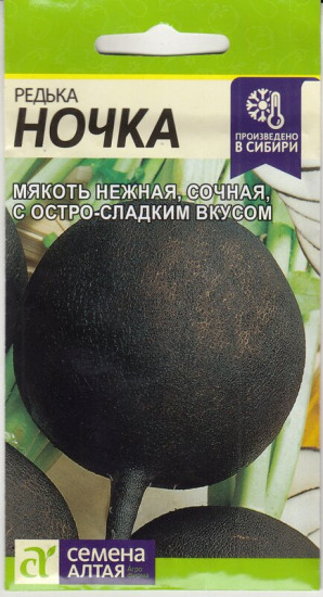 Редька «Ночка»