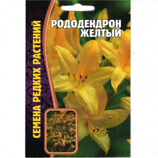 Рододендрон желтый