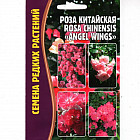 Роза китайская «Angel Wings»