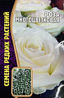 Роза многоцветная белая