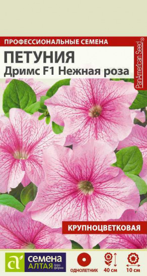 Петуния крупноцветковая «Нежная роза»