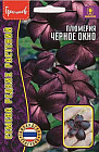 Плюмерия «Черное окно»