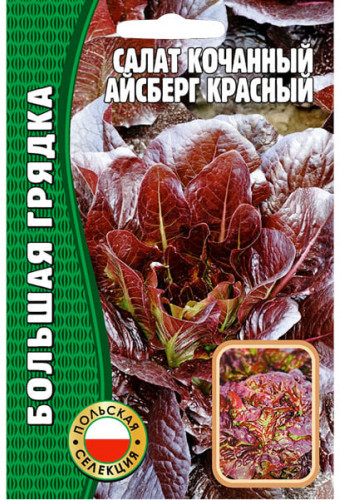 Салат кочанный «Айсберг красный»
