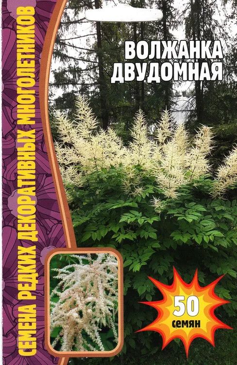 Семена «Волжанка двудомная» — Купить за 603