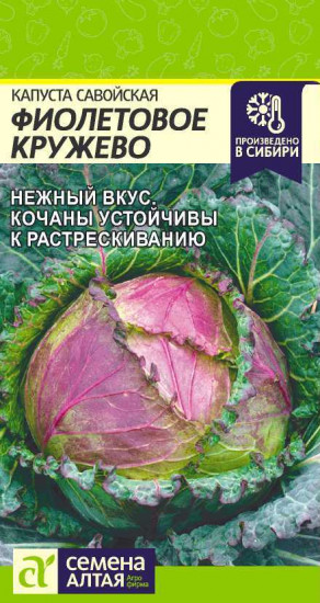 Семена. Капуста савойская «Фиолетовое кружево»