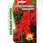 Сальвия «Карабинер»