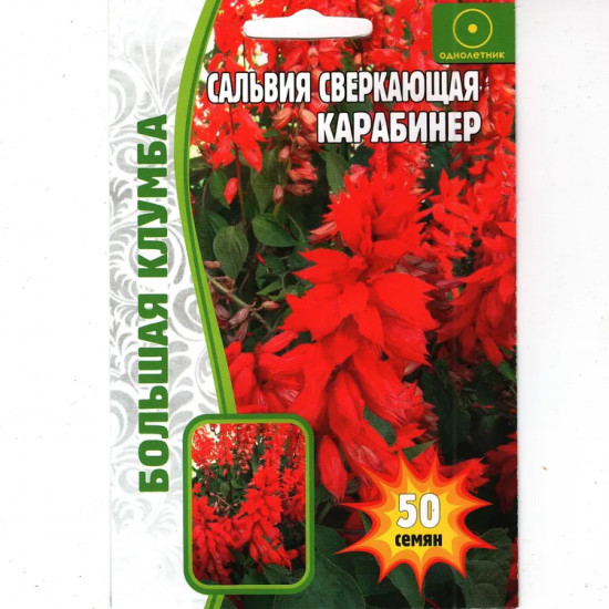 Сальвия «Карабинер»