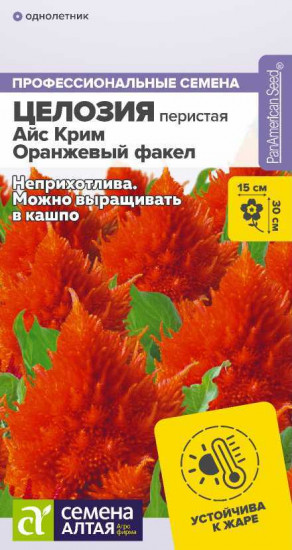 Целозия перистая «Айс Крим Оранжевый факел»