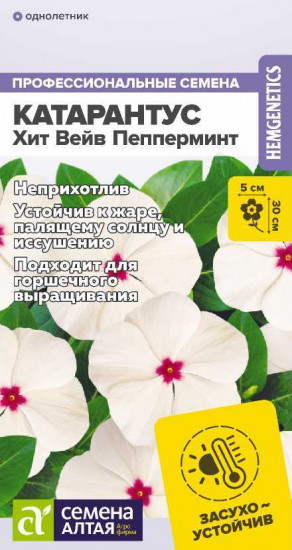 Катарантус «Хит Вейв Пепперминт»