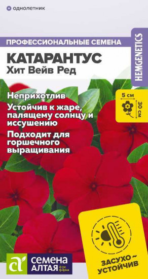 Катарантус «Хит Вейв Ред»