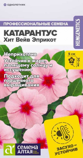 Катарантус «Хит Вейв Эприкот»