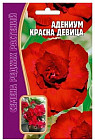 Адениум «Красна девица»