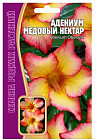 Адениум «Медовый нектар»