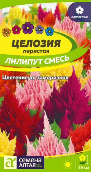 Целозия перистая «Лилипут смесь»