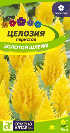Целозия перистая «Золотой шлейф»
