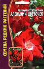Адениум пестролистный «Аленький цветочек»