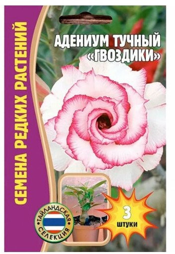Адениум тучный «Гвоздики» | Семена редких растений