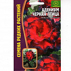 Адениум «Черная птица»