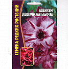 Адениум «Экзотическая бабочка»
