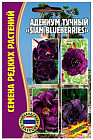Адениум тучный «Siam blueberries»