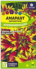 Амарант «Иллюминация трехцветный»