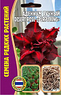 Адениум тучный desert rose «PurpleKing»