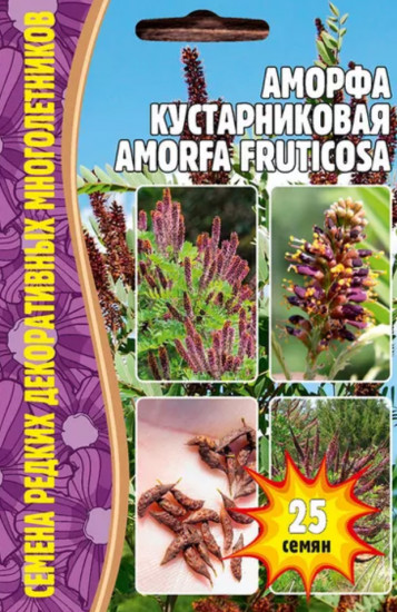 Аморфа кустарниковая