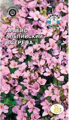 Арабис «Встреча альпийский»