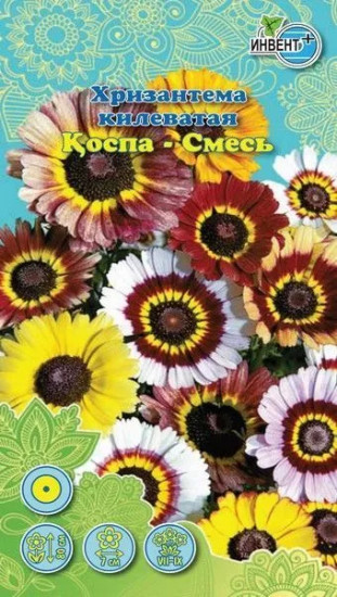 Хризантема килеватая «Смесь»