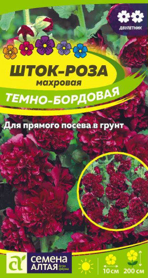 Шток-роза «Темно-бордовая»