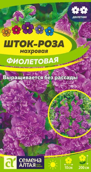 Шток-роза махровая «Фиолетовая»