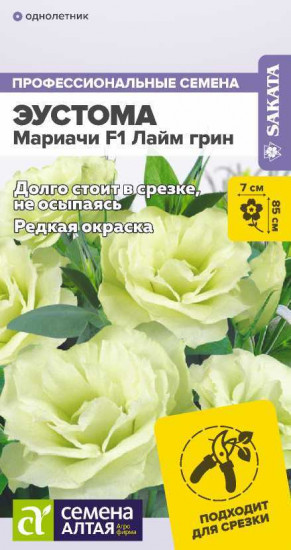 Эустома «Мариачи F1 Лайм Грин»