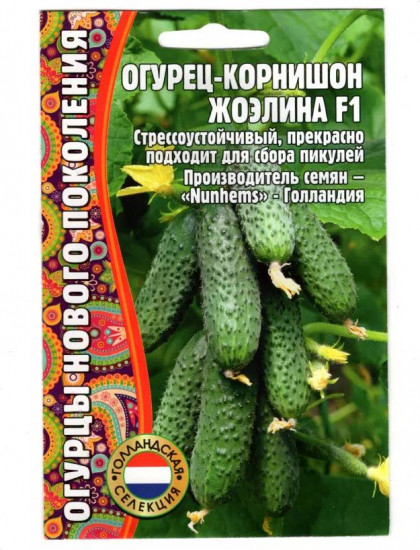Огурец-корнишон «Жоэлина F1»
