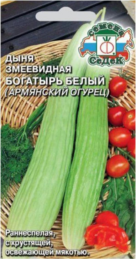 Дыня змеевидная (армянский огурец) «Богатырь белый» | СеДеК