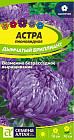 Астра «Дымчатый Бриллиант»
