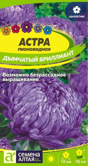 Астра «Дымчатый Бриллиант»