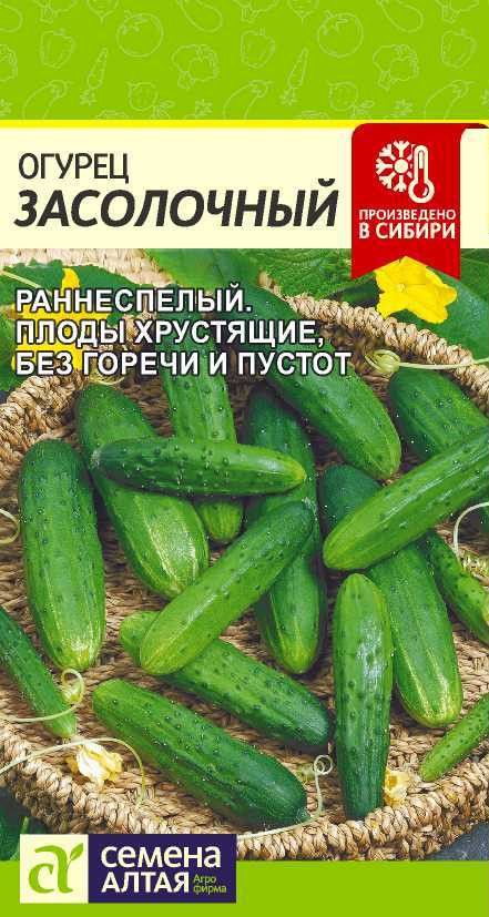 Огурец «Засолочный» | Семена Алтая